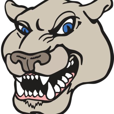 AR5 COUGAR 10 RQC Thumbnail