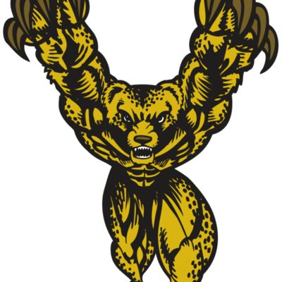 BAW CHEETAH 09 RC Thumbnail