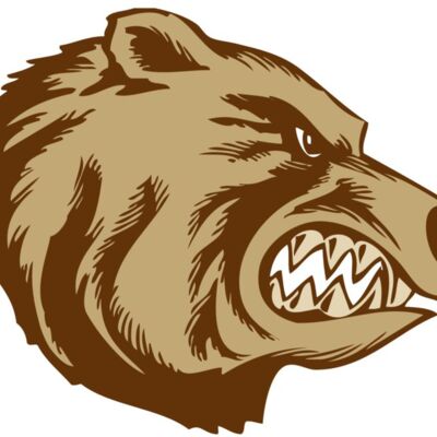 BAW BEAR 16 RC Thumbnail