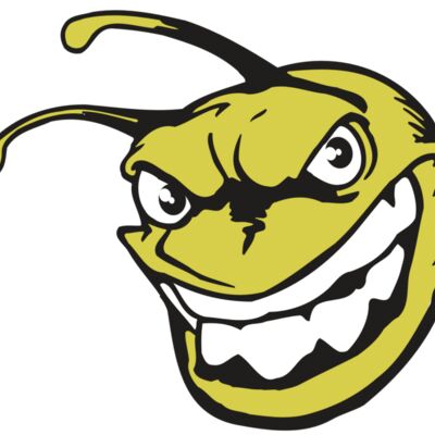 AR5 BEE 08 RQC Thumbnail