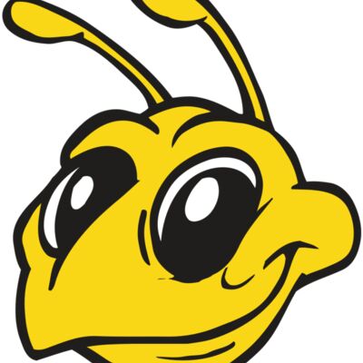 AR BEE 28 RC Thumbnail