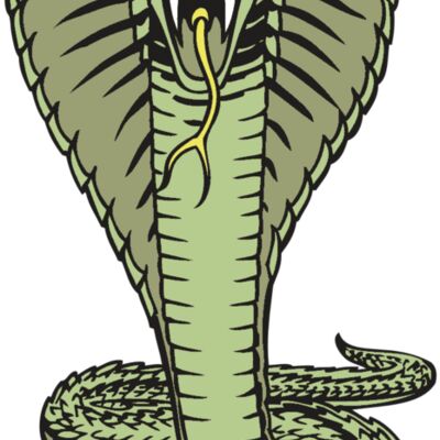 BAW SNAKE 15 RC Thumbnail